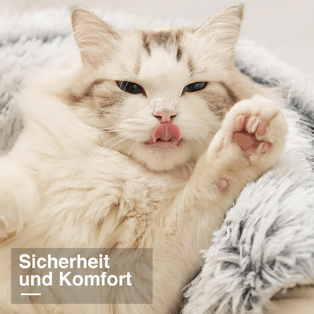 Flosi - Bequemstes Haustierbett lindert Ängste & schützt die Knochen