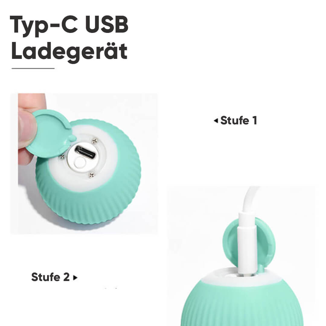 Bolly - Intelligente Katzen & Hundespielzeug für mehr Spaß mit Deinem Haustier