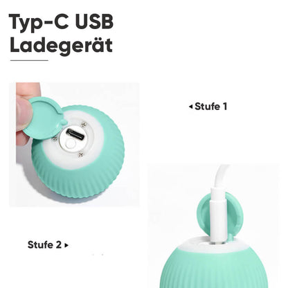 Bolly - Intelligente Katzen & Hundespielzeug für mehr Spaß mit Deinem Haustier