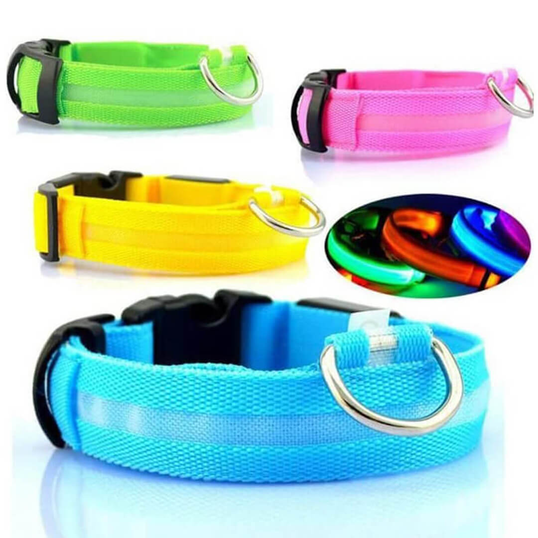 Feenband - Aufladbares Hundehalsband für bessere Sichtbarkeit