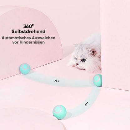 Bolly - Intelligente Katzen & Hundespielzeug für mehr Spaß mit Deinem Haustier