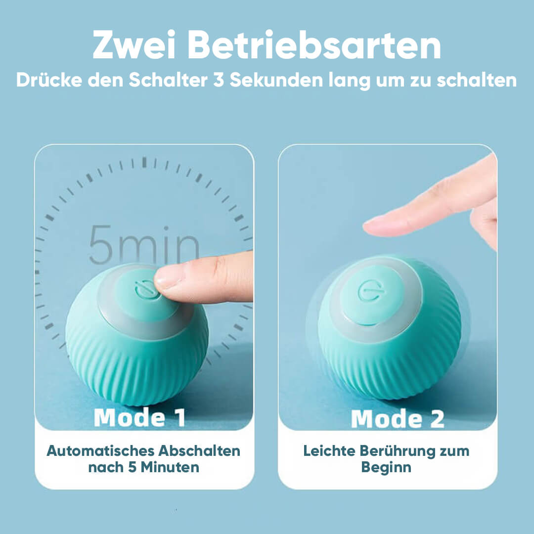 Bolly - Intelligente Katzen & Hundespielzeug für mehr Spaß mit Deinem Haustier