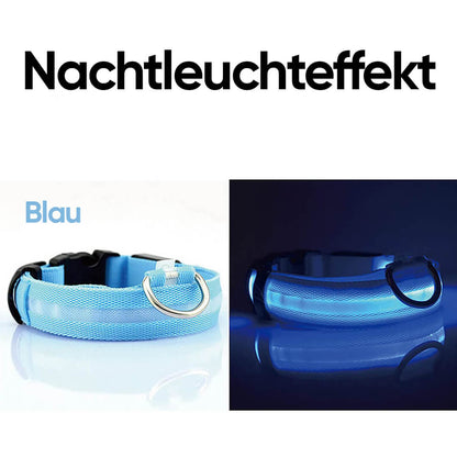 Feenband - Aufladbares Hundehalsband für bessere Sichtbarkeit