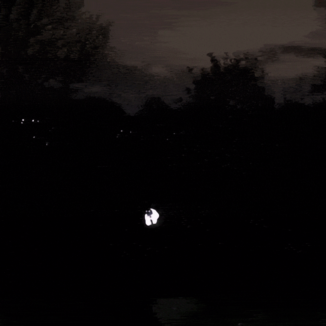 Vermo - Reflektierende Hundemantel für Hunde bei Dunkelheit