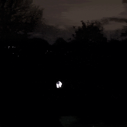 Vermo - Reflektierende Hundemantel für Hunde bei Dunkelheit