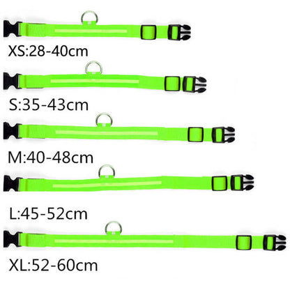 Feenband - Aufladbares Hundehalsband für bessere Sichtbarkeit