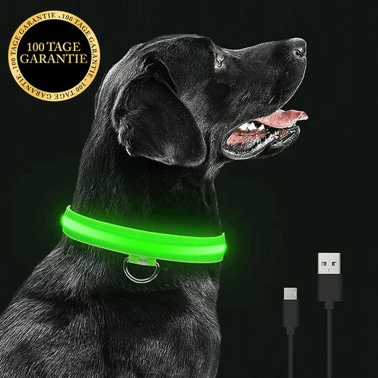 Feenband - Aufladbares Hundehalsband für bessere Sichtbarkeit
