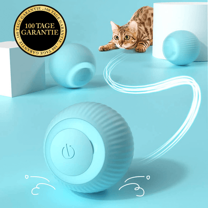 Bolly - Intelligente Katzen & Hundespielzeug für mehr Spaß mit Deinem Haustier